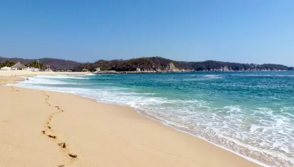 Exploring Playa Chahué,Tracey Greenman