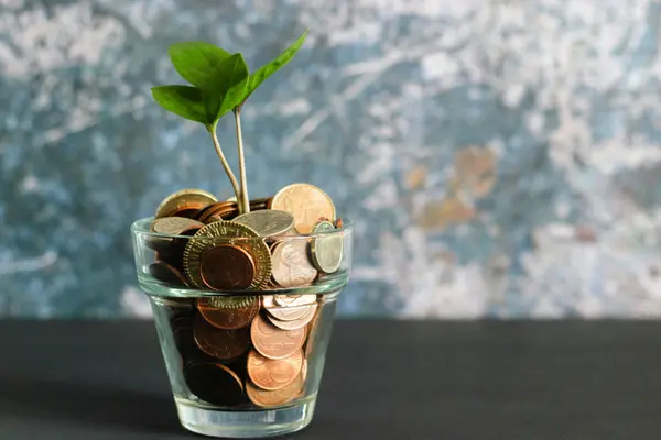 feature image of Building Long-Term Wealth Through Real Estate