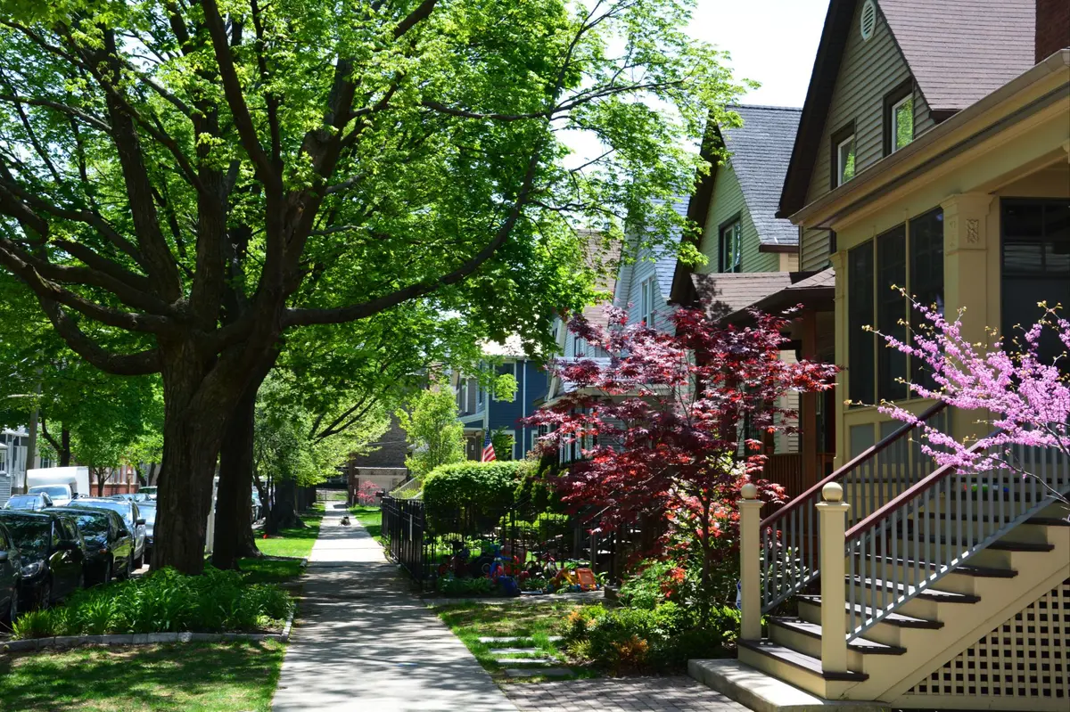 REimagine Chicago Realty Spring Treelined Street