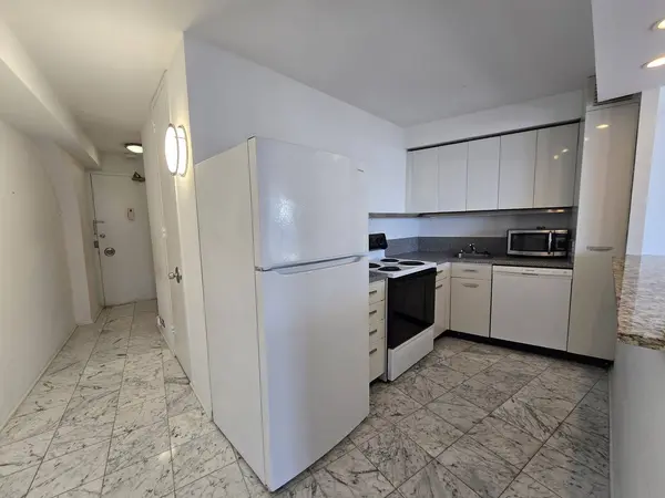 300 N State ST #4427, Chicago, IL 60654