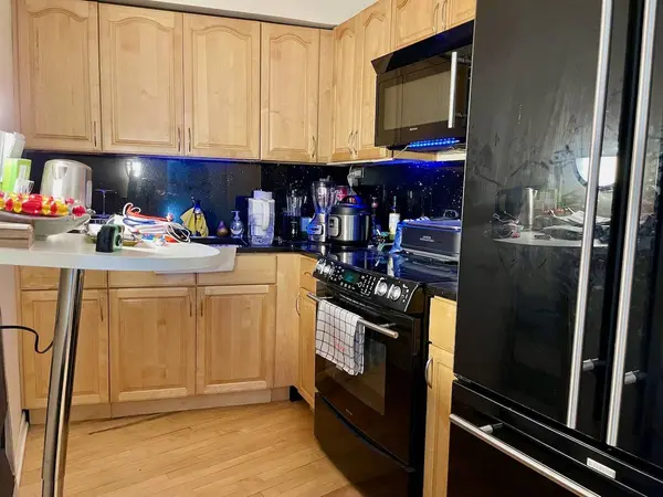 300 N State ST #4403, Chicago, IL 60654