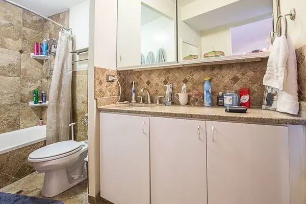 300 N State ST #5501, Chicago, IL 60654
