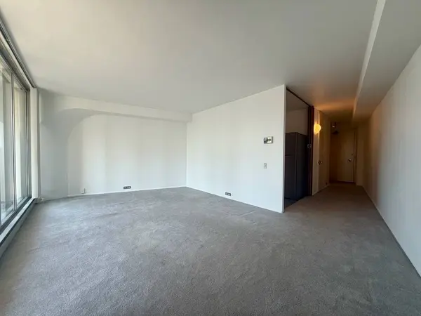 300 N State ST #4526, Chicago, IL 60654