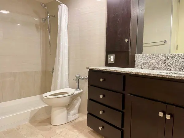 300 N State ST #3101, Chicago, IL 60654