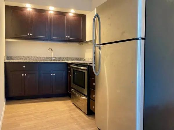 300 N State ST #3101, Chicago, IL 60654