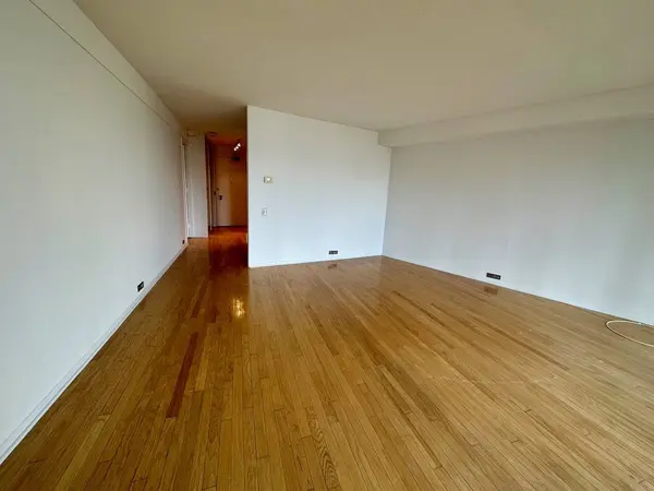 300 N State ST #3734, Chicago, IL 60654