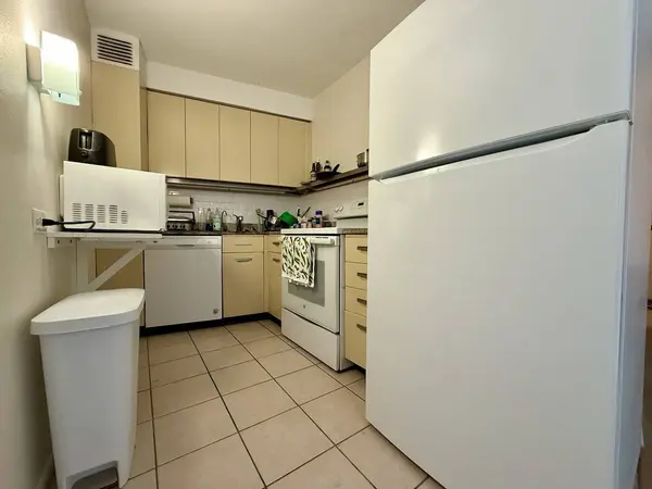 300 N State ST #4603, Chicago, IL 60654