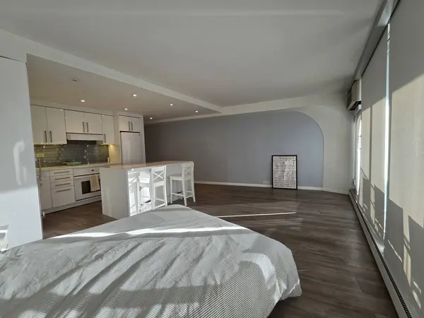 300 N State ST #3603, Chicago, IL 60654