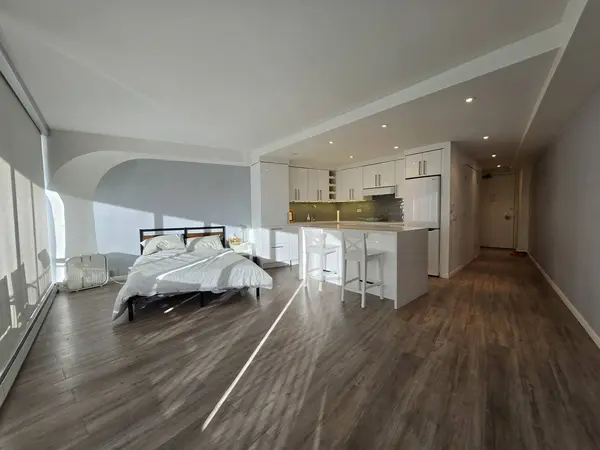 300 N State ST #3603, Chicago, IL 60654
