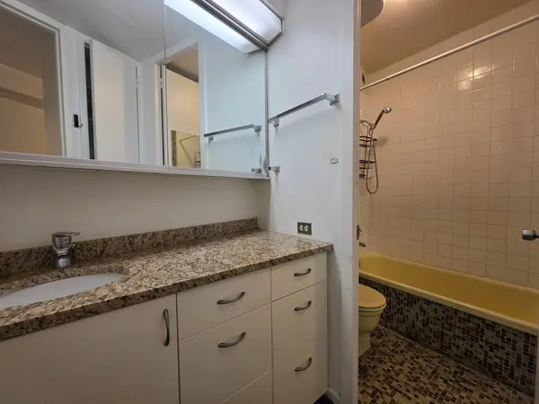 300 N State ST #3125, Chicago, IL 60654