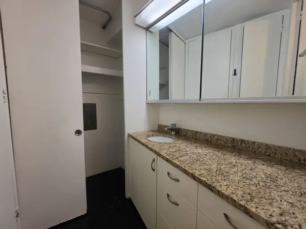 300 N State ST #3125, Chicago, IL 60654