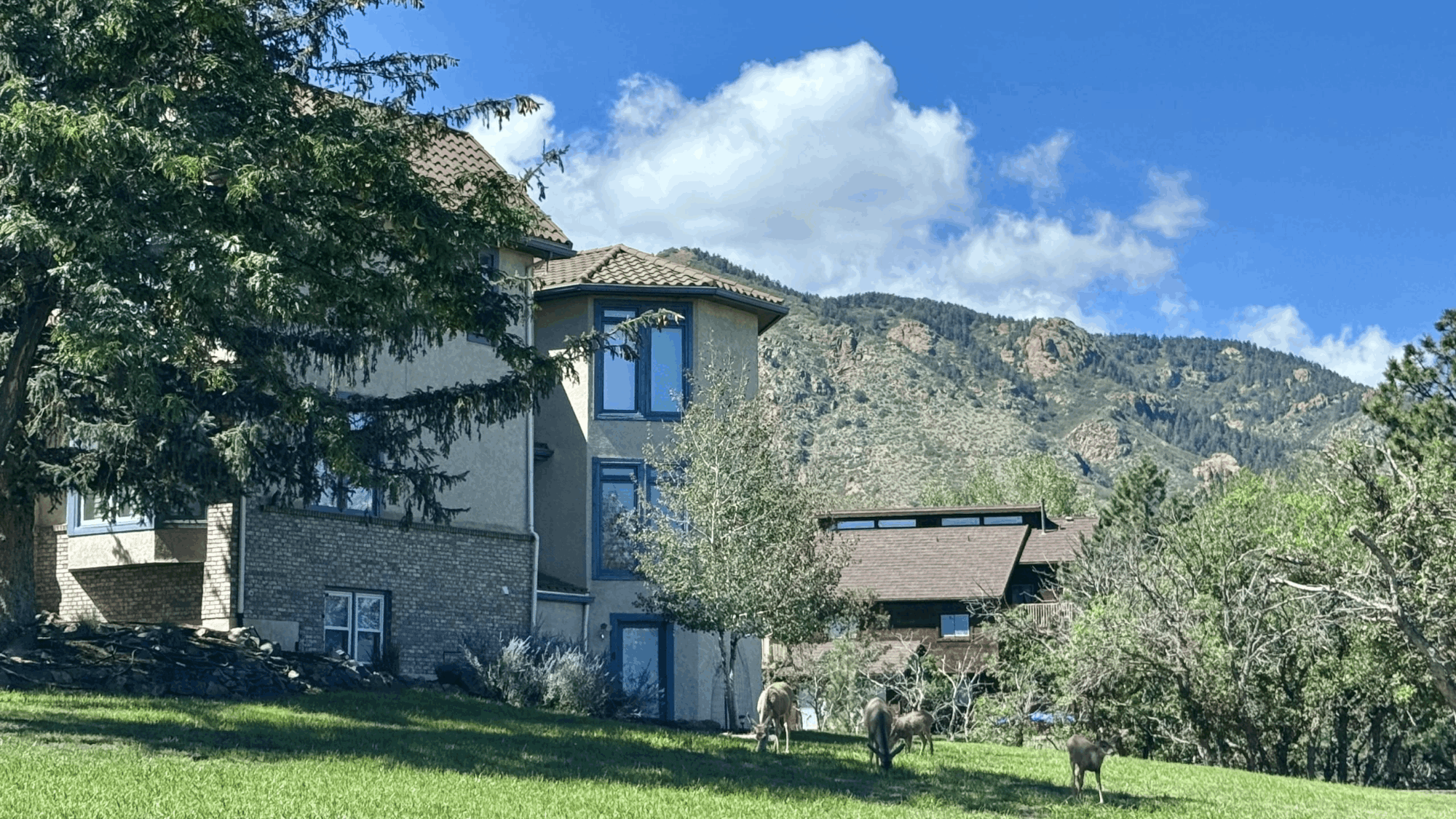 Homes in Skyway neighborhood with Rocky Mountain backdrop and deer on the lawn