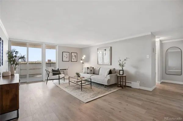 1029 E 8th AVE #702, Denver, CO 80218