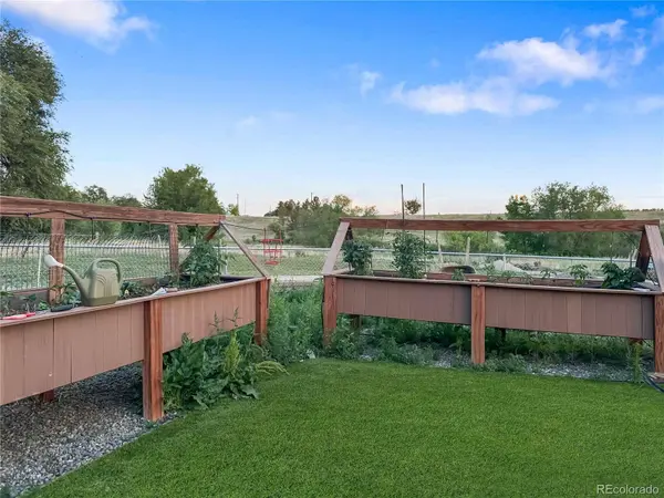 10427 Ammons ST, Broomfield, CO 80021