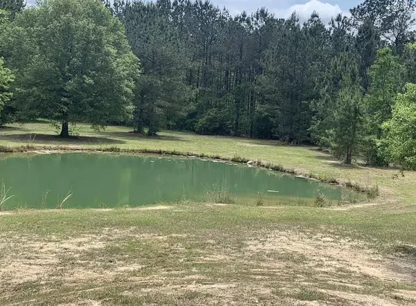 339 Crystal LN, Ragley, LA 70657