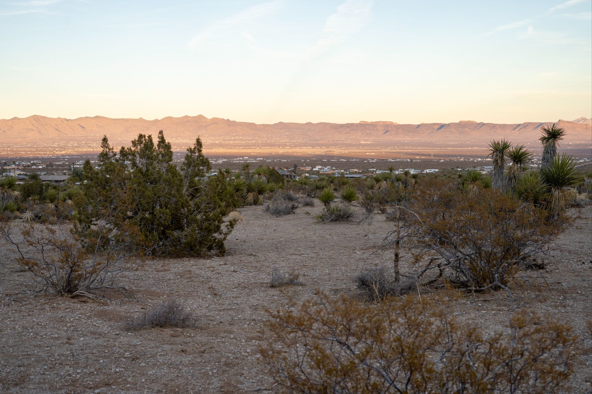 Golden Valley Landscape