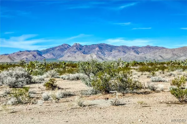 7190 E Red Barrel RD, Yucca, AZ 86438