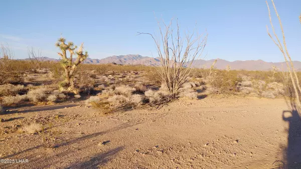 3501 S Wild Bill Rd, Yucca, AZ 86438