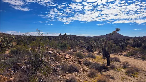 8375 E Cholla DR, Yucca, AZ 86438