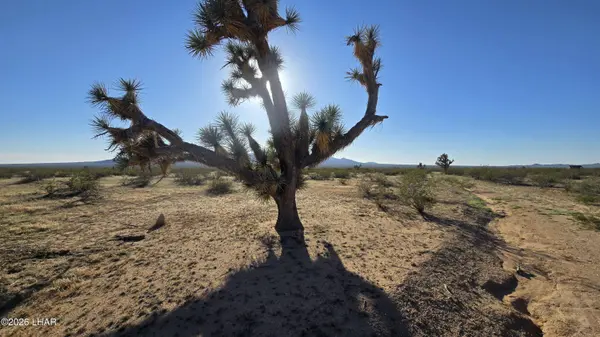 21688 S Roy Rogers Rd, Yucca, AZ 86438