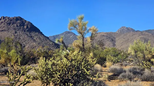 19006 S Cattle Crossing Rd, Yucca, AZ 86438