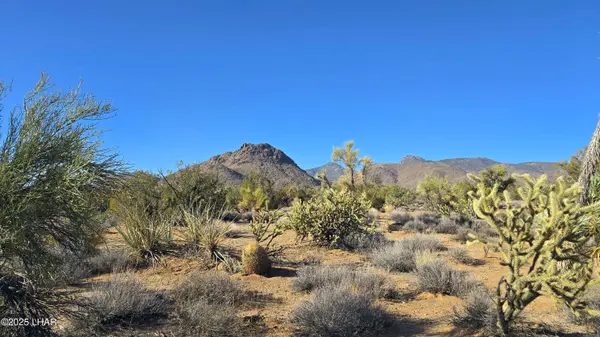 19006 S Cattle Crossing Rd, Yucca, AZ 86438