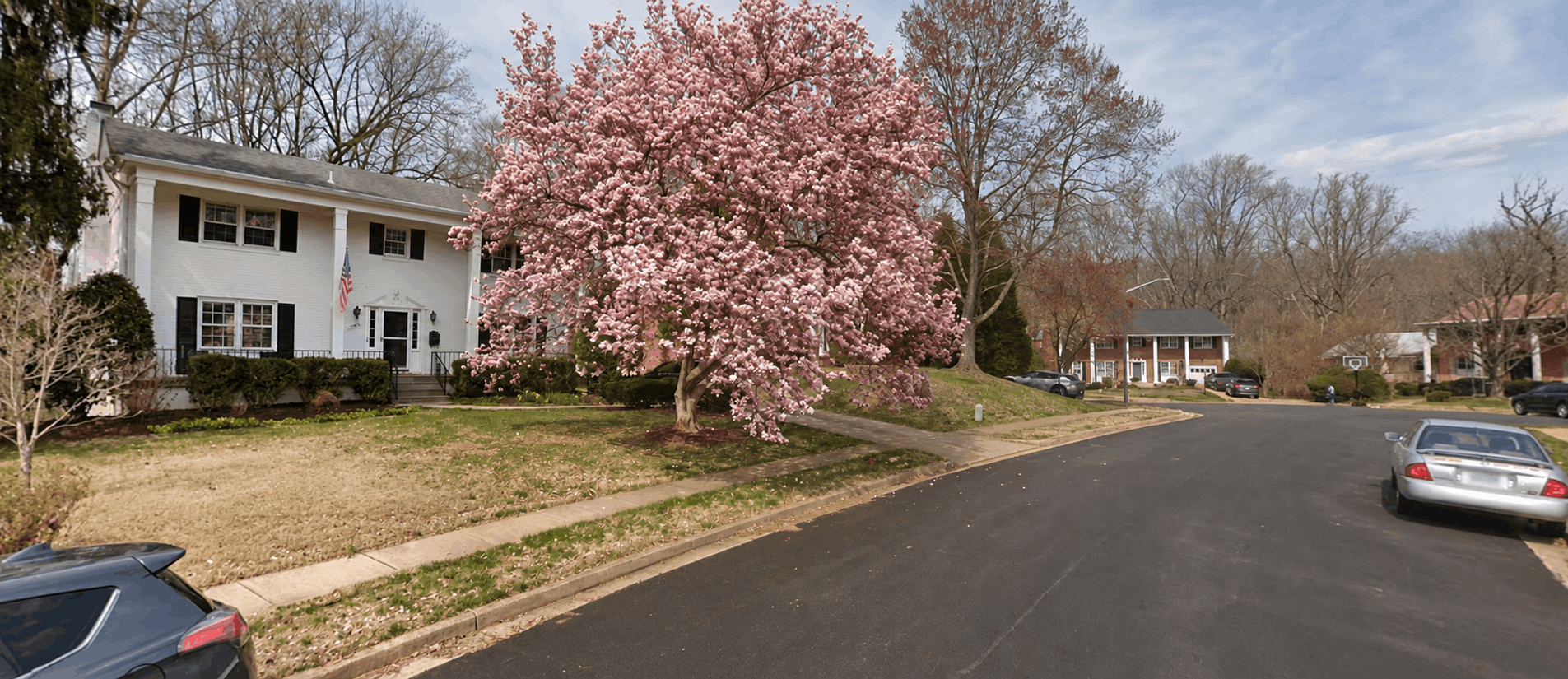 potomac-hills
