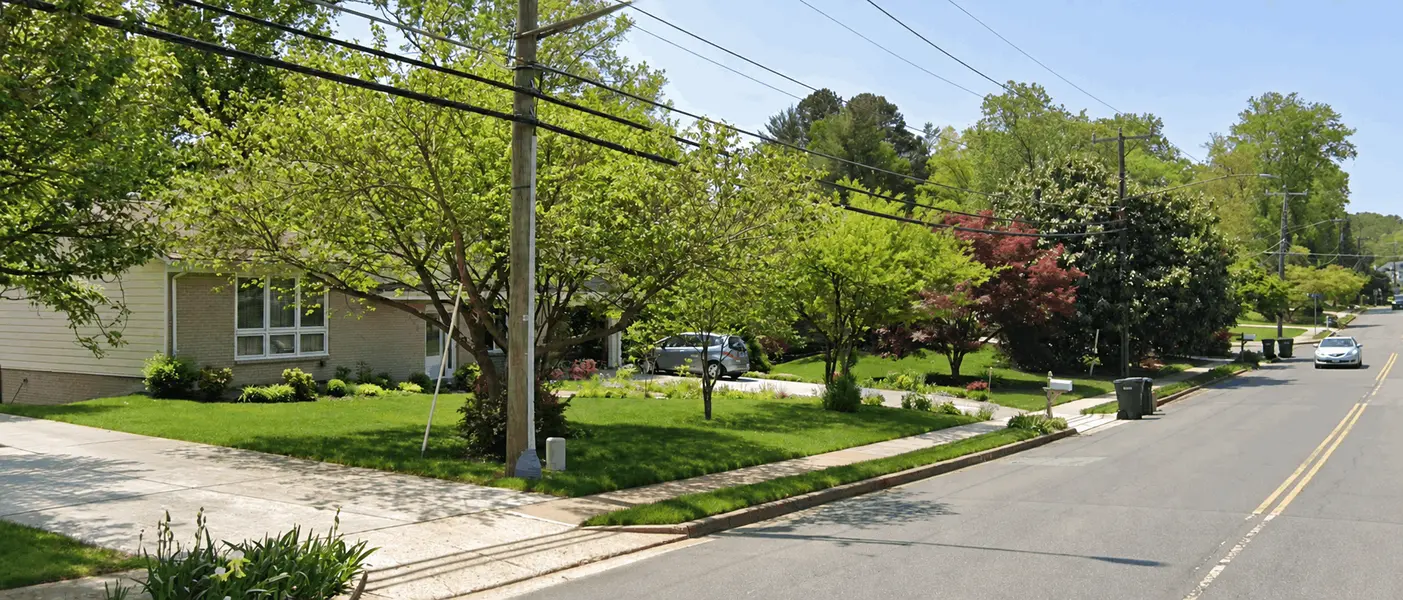 Wolf Trap Woods