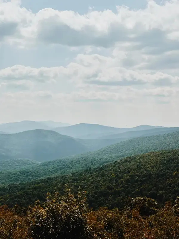 Moving to Northern Virginia: What Home Buyers Should Know,Mike Andrew