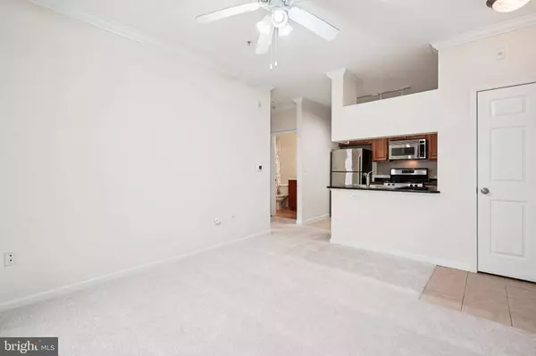 12921 CENTRE PARK CIR #303, Herndon, VA 20171