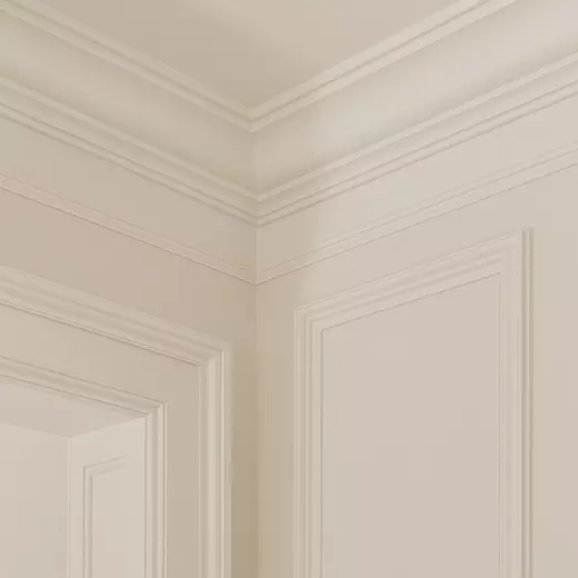 Elegant Molding Detailing