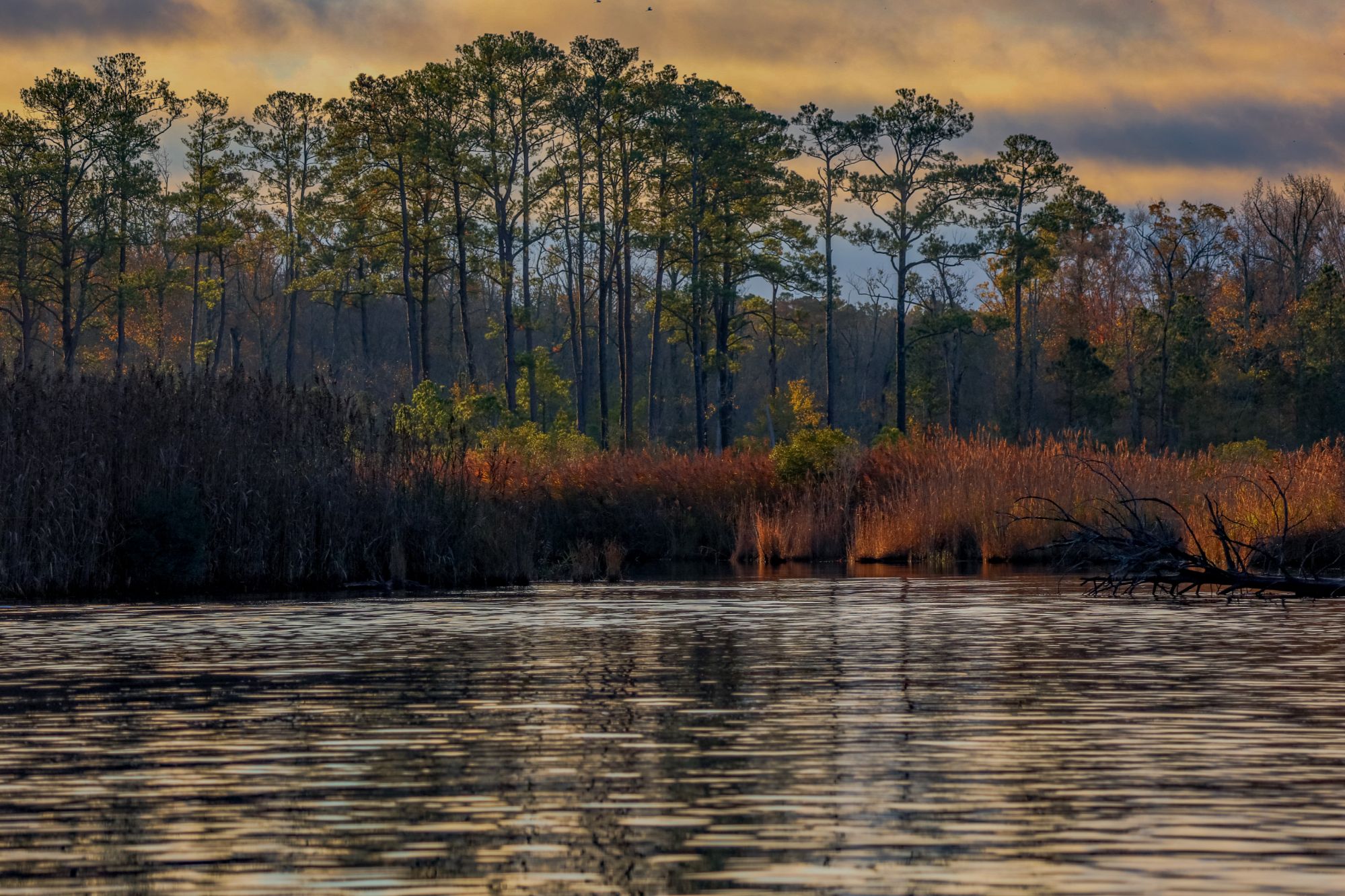 intercoastal-waterway-at-sunrise-in-november-2025-03-11-02-05-28-utc