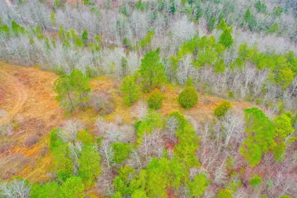 9999 War Fork Road, Mckee, KY 40447