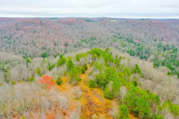 9999 War Fork Road, Mckee, KY 40447