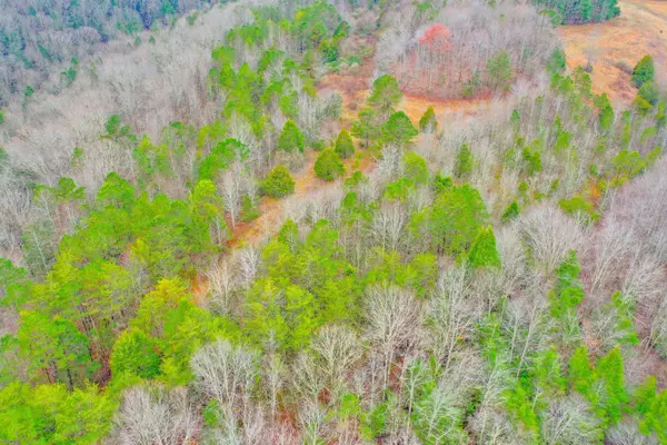 9999 War Fork Road, Mckee, KY 40447