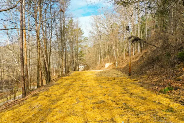 740 Pond Lick Road, Annville, KY 40402