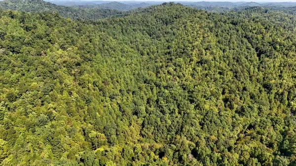 1737 Laurel Branch Road, Walker, KY 40997
