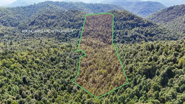 1737 Laurel Branch Road, Walker, KY 40997