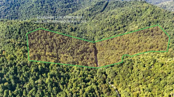 1737 Laurel Branch Road, Walker, KY 40997
