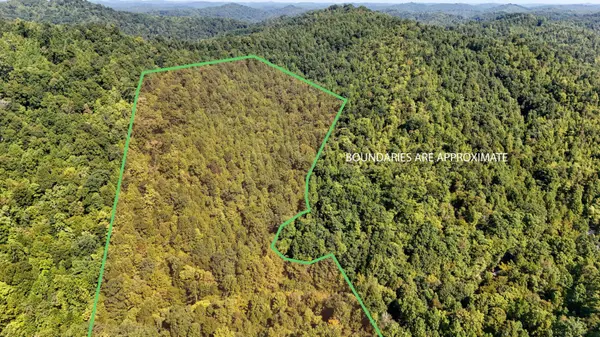 1737 Laurel Branch Road, Walker, KY 40997