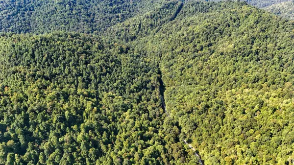 1737 Laurel Branch Road, Walker, KY 40997