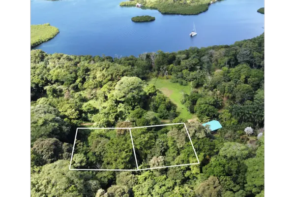 2 Botanical Garden Lots - Isla Colon