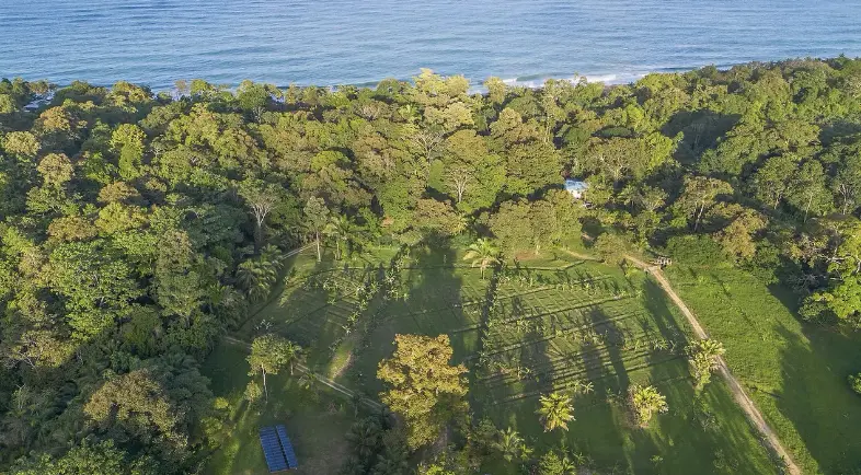 Finca Limones - Bluff Beach