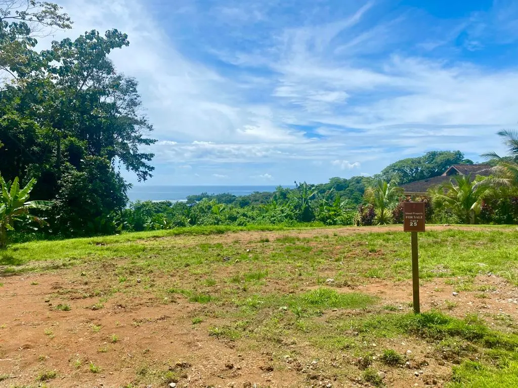 Lot 25 - Red Frog Beach