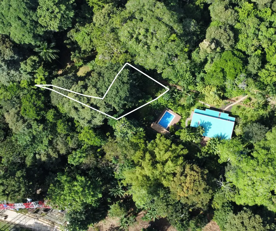 Hill Lot in Botanical Garden, Isla Colon,