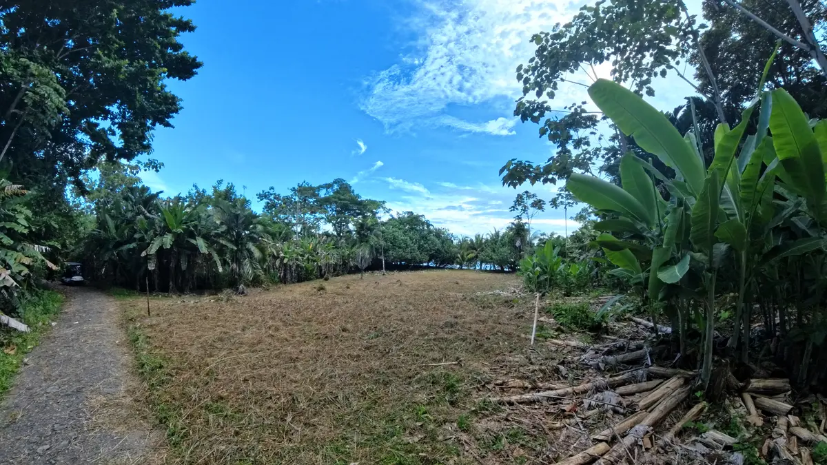 Lot 411 Red Frog Beach