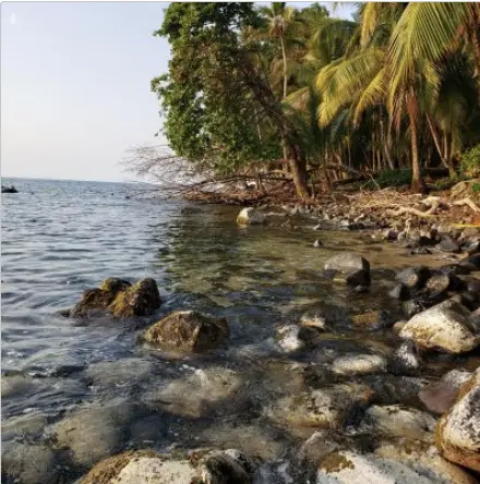 Titled Caribbean Sea, Surf & Sunsets,