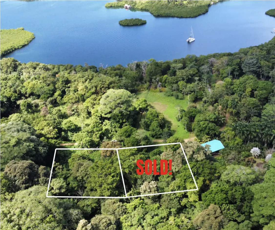 2 Botanical Garden Lots - Isla Colon
