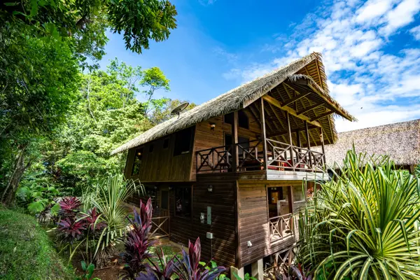 Jungle Lodge 1 - Red Frog Beach, 