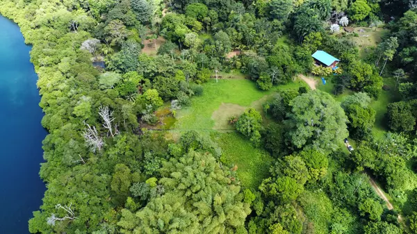 2 Botanical Garden Lots - Isla Colon